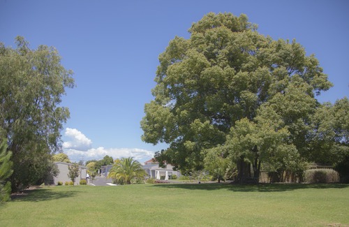 Mount Wellington Hotel | Sylvia Park Motel