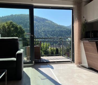 Meszna Apartment | Szczyrkowskie SKI & FUN 18 - z widokiem na góry - Sauna i Jacuzzi