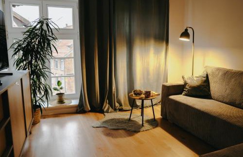 Stare Miasto Apartment | Szeroka 32 Studio