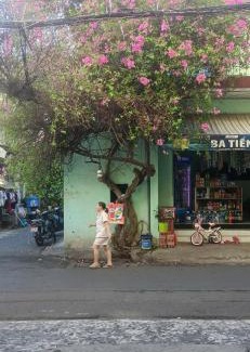 District 12 House | Tổ Ấm Nhỏ Staycation - Migration Season
