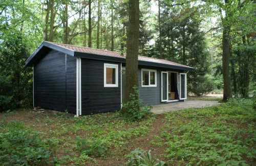 Krachtighuizen Ski Chalet | t'Bakkersboschje nummer 11