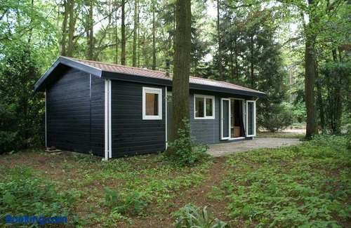 Krachtighuizen Ski Chalet | T'Bakkersboschje Nummer 11