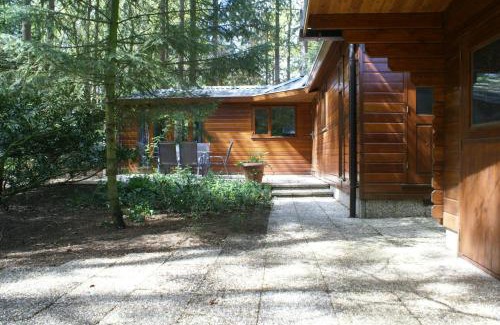Krachtighuizen Ski Chalet | t'Bakkersboschje nummer 8