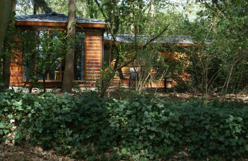Krachtighuizen Ski Chalet | t'Bakkersboschje nummer 8