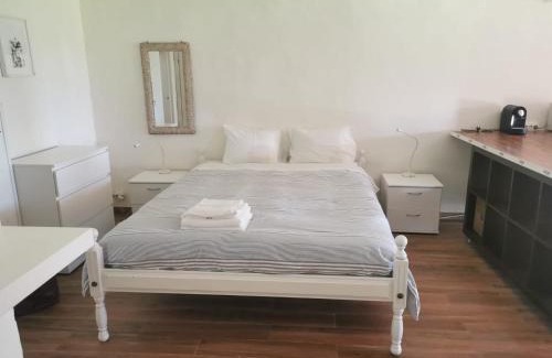 Vagos Ski Chalet | T0 da Casa da Quinta S José