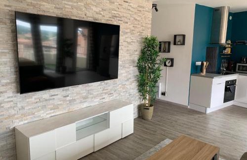 Graulhet Apartment | T2 Cosy - 70m2 au Coeur de ville