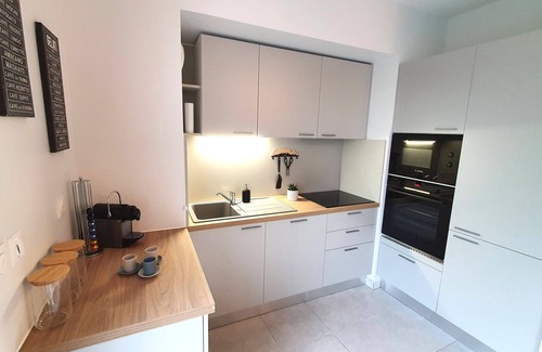 Lyon City Centre Apartment | T2, in a new building, with terrace and garage, view of Parc Blandan