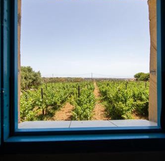 Hal Far Bed & Breakfast | Ta' Bertu Host Family Bed & Breakfast