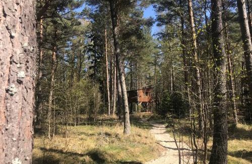 Hiiumaa House | Tahkuna tree-house