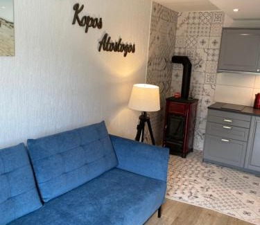 Nida Apartment | Taikos 3 studio