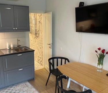 Nida Apartment | Taikos 3 studio