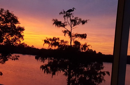 Naples Condo | Take in Florida's nature & fishing only 15 min from Marco Island/Naples