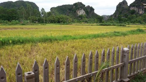 Hoa Lu Cabin | Tam Coc Green Garden Bungalow