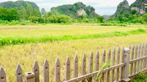 Hoa Lu Cabin | Tam Coc Green Garden Bungalow