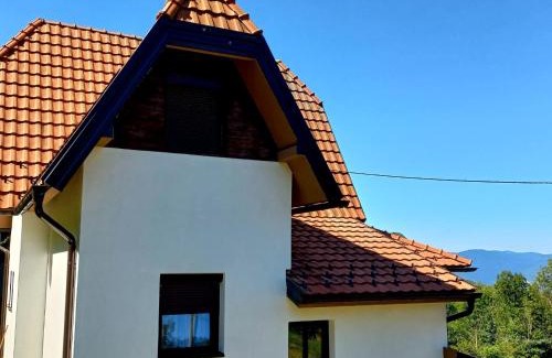 Bajina Basta House | TARA Vila Rajak