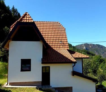 Bajina Basta House | TARA Vila Rajak