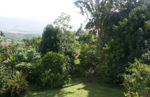 Mandeville Apartment | Tashari-dae Inn home away from home