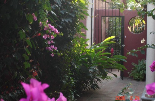 El Faro House | Tasteful Casita on a Quiet Street Near Beaches with Views!