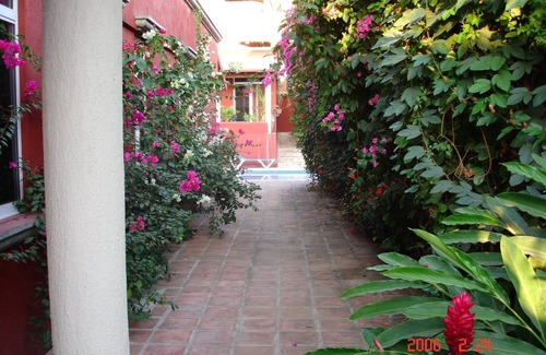El Faro House | Tasteful Casita on a Quiet Street Near Beaches with Views!