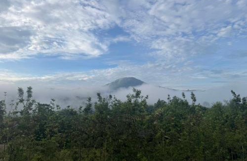 Khao Kho Bed & Breakfast | TasVillaKhaokho ทัสวิลล่าเขาค้อ - Nordic Type