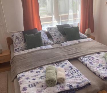 Szeged Apartment | Tavaszpart Vendégház