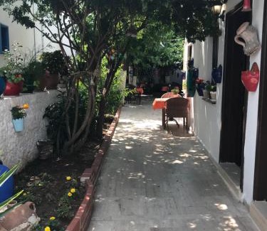 Bodrum City Center Bed & Breakfast | Tay Pansiyon