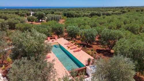 Speziale Apartment | TD Lamia Porta Rossa, Countryside with Olive Trees
