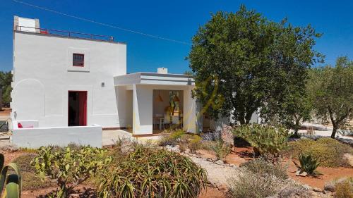 Speziale Apartment | TD Lamia Porta Rossa, Countryside with Olive Trees