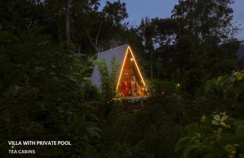 Ella Villa | Tea Cabins