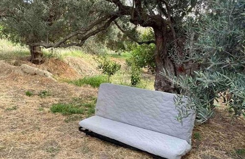 Ligia Other | Tent by the sea, private toilet and kitchenette