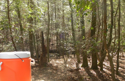 Lookout Mountain RV Rental | Tentrr Signature Site - Mountain Holler Campsite