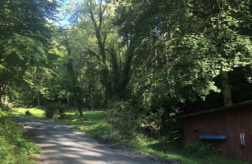 Bryson City RV Rental | Tentrr Signature Site - Needmore Nature Time