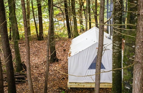 Bristol RV Rental | Tentrr Signature Site - Whispering Pines At The River