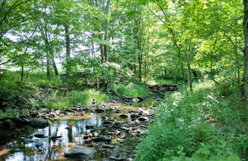 Town of Conesville RV Rental | Tentrr Signature Site - Bearkill Brook