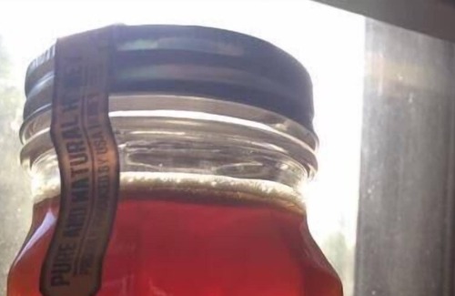 Amboy RV Rental | Tentrr Signature Site - Lis-Bon Acres Glamping