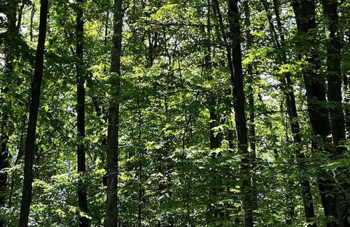 Ithaca RV Rental | Tentrr Signature Site - Orchard and Gorge Tent at South Hill Cider - Site #2
