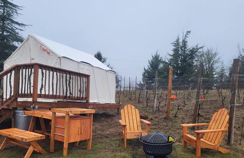 Gaston RV Rental | Tentrr Signature Site - Quail Run Vineyard and Farm