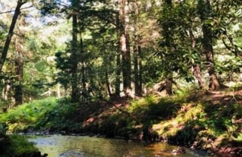 Kauneonga Lake RV Rental | Tentrr Signature Site - Say Hello 2 Heaven at the Tentrr Catskill Retreat - Stre
