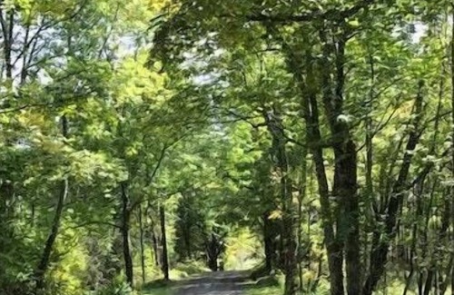 Worcester RV Rental | Tentrr Signature Site - Mountain View Campsite