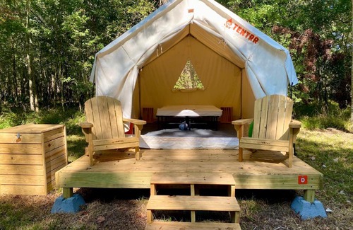 Texas Gulf Coast Region Other | Tentrr State Park Site - Texas Brazos Bend State Park Trailside D - Single Camp