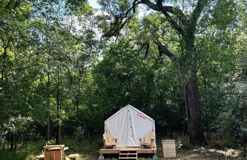 Texas Gulf Coast Region Other | Tentrr State Park Site - Texas Brazos Bend State Park Trailside E - Single Camp