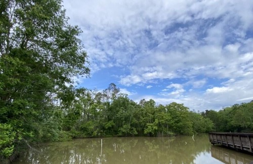 Springfield RV Rental | Tentrr State Park Site - Louisiana Tickfaw State Park - Pond View B - Single Cam
