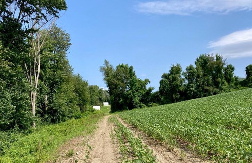 Copake Falls Other | Tentrr State Park Site - Taconic State Park High Valley Rd Site E
