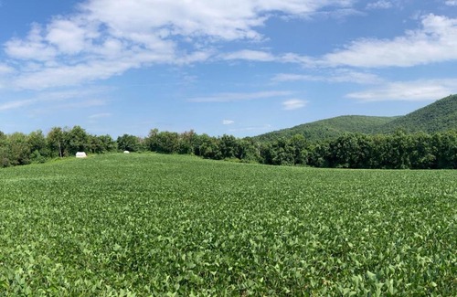 Copake Falls Other | Tentrr State Park Site - Taconic State Park High Valley Rd Site F
