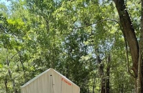 Texas Gulf Coast Region RV Rental | Tentrr State Park Site - Texas Brazos Bend State Park - Trailside F – Single C
