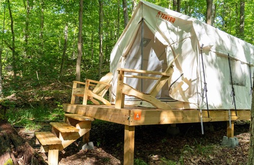 Staatsburg Other | Tentrr State Park Site - Mills Norrie State Park Site A