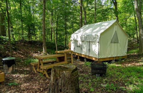 Staatsburg Other | Tentrr State Park Site - Mills Norrie State Park Site A