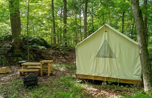 Staatsburg Other | Tentrr State Park Site - Mills Norrie State Park Site A