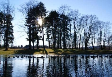 Staatsburg Other | Tentrr State Park Site - Mills Norrie State Park Site A