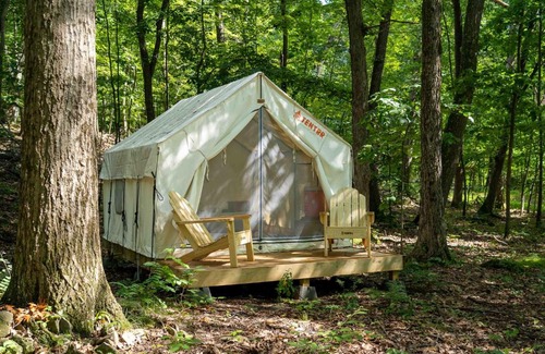 Staatsburg Other | Tentrr State Park Site - Mills Norrie State Park Site E